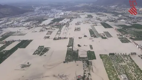 Inundaciones en Orihuela, campos anegados