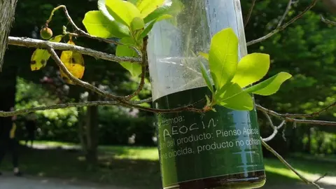 Trampas avisa asi&aacute;ticia