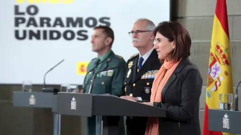 la jefa de &Aacute;rea del Centro de Coordinaci&oacute;n de Alertas y Emergencias Sanitarias del Ministerio de Sanidad, Mar&iacute;a Jos&eacute; Sierra, durante una rueda de prensa tras la reuni&oacute;n del Comit&eacute; de Gesti&oacute;n T&eacute;cnica del Coronavirus