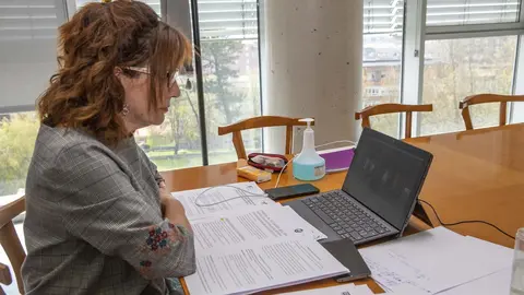 Consejera de Empleo participa por videoconferencia en Mesa del Di&aacute;logo Social