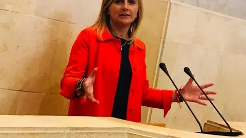 Noelia Cobo, portavoz PSOE Parlamento