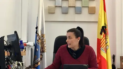 La alcaldesa de Santander, Gema Igual, en una videoconferencia con los portavoces de los grupos municipales
