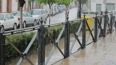 Lluvia en  una calle de La Palma del Condado.       