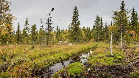 Parque e&oacute;lico de Siemens Gamesa en Suecia