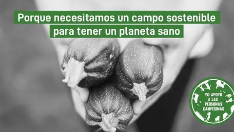 D&iacute;a Internacional de la Lucha Campesina,