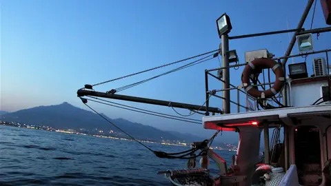 Barcos de cerco de Marbella