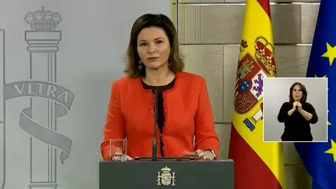 La secretaria general de Transportes, Mar&iacute;a Jos&eacute; Rallo, durante la rueda de prensa telem&aacute;tica del Comit&eacute; de Gesti&oacute;n T&eacute;cnica del Coronavirus.