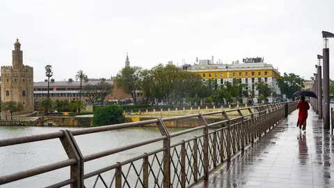 Puente de San Telmo (Sevilla) en un d&iacute;a lluvioso