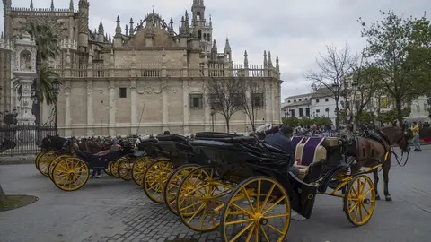 Im&aacute;genes del impacto del virus del Coronavirus en el sector tur&iacute;stico 