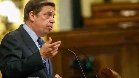 El ministro de Agricultura, Pesca y Alimentaci&oacute;n, Luis Planas, en el Pleno del Congreso