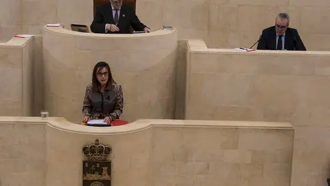 Comparecencia Ana Belen Alvarez_01