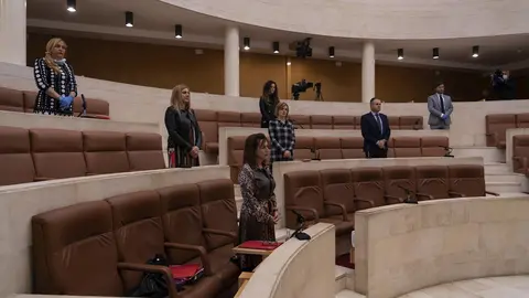 Minuto de silencio en la comisi&oacute;n del COVID-19 en el Parlamento de Cantabria
