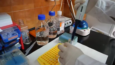 Un investigador de la Universidad de M&aacute;laga en un laboratorio.