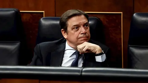 El ministro de Agricultura, Luis Planas, este mi&eacute;rcoles en la sesi&oacute;n de control al Gobierno en el Congreso de los Diputados