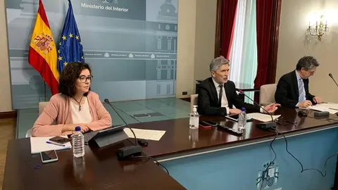 El ministro del Interior, Fernando Grande Marlaska, en la quinta reuni&oacute;n del Comit&eacute; Estatal de Coordinaci&oacute;n de Protecci&oacute;n Civil.