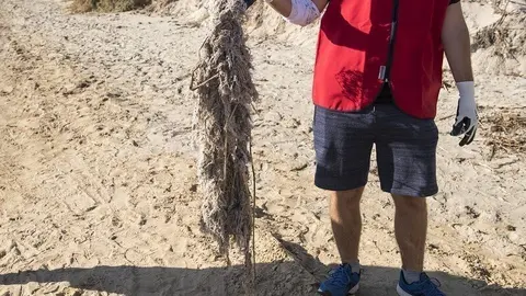 Restos de toallitas acumuladas en una playa y recogidas por los voluntarios de Proyecto Libera, de Ecoembes y Seo/BirdLife.