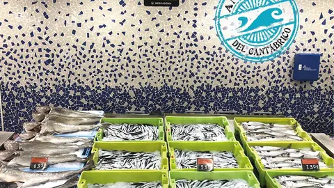 Informaci&oacute;n Anchoa