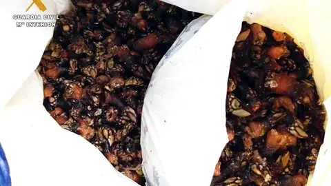 Nota De Prensa La Guardia Civil Entrega Percebes A Una Residencia