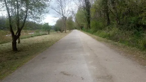 Red Ecoastillero XXI