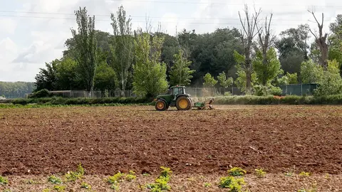 Un tractor ara un terreno de Aranjuez durante el d&iacute;a 45 del estado de alarma por la pandemia del coronavirus, en Aranjuez/Madrid (Espa&ntilde;a) a 28 de abril de 2020.