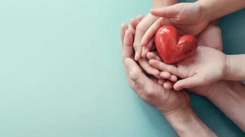 Solidaridad, amor. Manos sosteniendo un coraz&oacute;n.