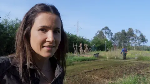 Huertos Urbanos de Astillero