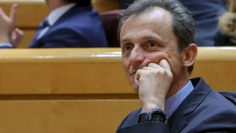 El ministro de Ciencia, Innovaci&oacute;n y Universidades, Pedro Duque, durante un pleno en el Senado.
