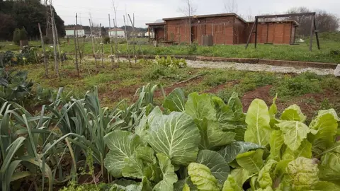 Huertas municipales sostenibles de Revilla de Camargo 