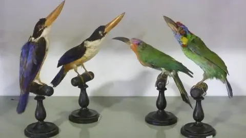 El museo de la Naturaleza de Cantabria ubicado en Cabezon de la Sal, abre dos nuevas salas al publico. 13 de agosto de 2012