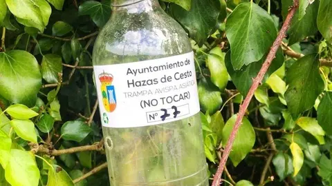 Trampa para avispa asi&aacute;tica