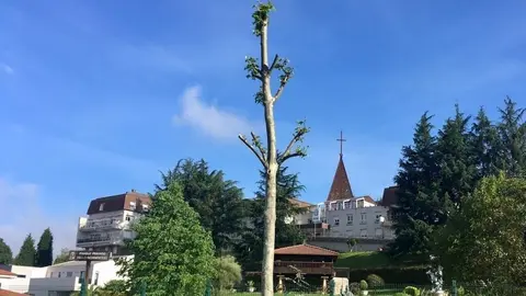 Residencia de mayores en Oviedo