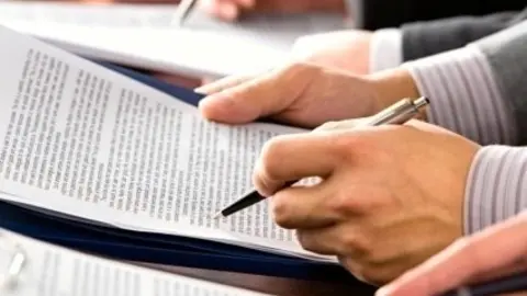 Auditor&iacute;a, auditores