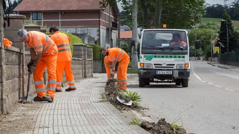 Trabajos de desbroce y limpieza, con trabajadores de Corporaciones Locales 