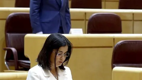La ministra de Pol&iacute;tica Territorial, Carolina Darias, en el Senado. Tras ella, el presidente de la Junta de Castilla y Le&oacute;n.