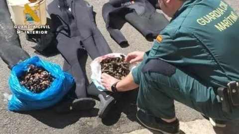 Percebes intervendis por la Guardia Civil