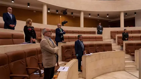 Minuto de silencio en el Pleno monogr&aacute;fico sobre la epidemia de coronavirus