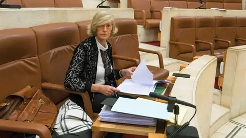 La consejera de Educaci&oacute;n, Marina Lomb&oacute;