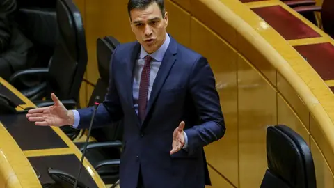 El presidente del Gobierno, Pedro S&aacute;nchez, durante su intervenci&oacute;n en la Sesi&oacute;n de Control al Gobierno en el Senado