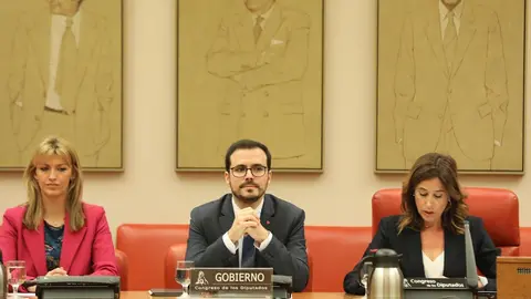 El ministro de Consumo, Alberto Garz&oacute;n, en el Congreso