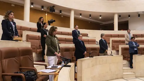 Comparecencia Parlamento 7 Mayo