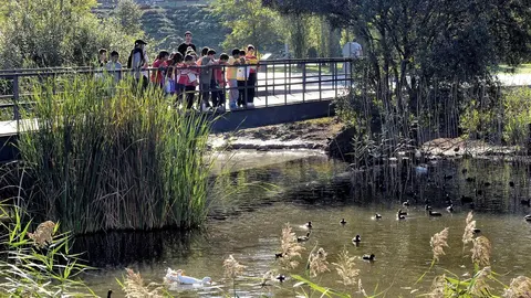  Parque de Las Llamas Santander. Archivo.