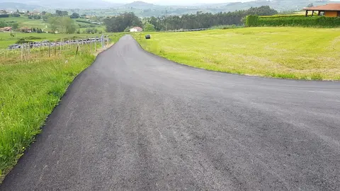 Vial asfaltado en Tagle