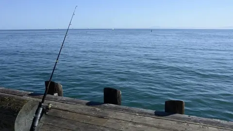 96519805_10158528433675663_1668118203449999360_n