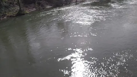 R&iacute;o Nal&oacute;n.