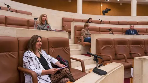 La consejera de Econom&iacute;a y Hacienda, Mar&iacute;a S&aacute;nchez, en su comparecencia parlamentaria sobre Covid. Archivo.