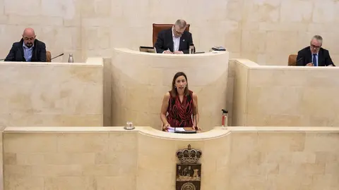 Comparecencia Parlamento 13 Mayo