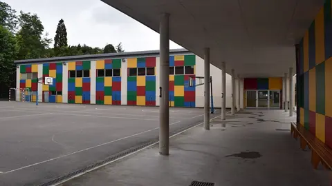 COLEGIO BAJO PAS DE ARCE (PI&Eacute;LAGOS)