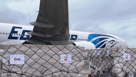 Avi&oacute;n con mascarillas de Dia