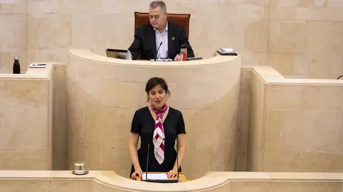 Directora general de Salud P&uacute;blica, Paloma Navas