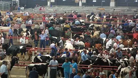 fotonoticia_20110521101600_420